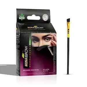 MinaiBrow Black Natural Spot Coloring Powder with Brush | Water & Smudge Proof Instant Brow Dye, 100% Gray Converge
